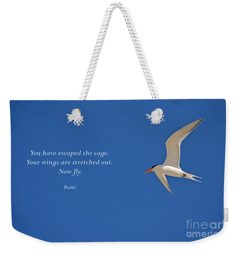 Rumi Weekender Tote Bag featuring the photograph 84- Rumi by Joseph Keane