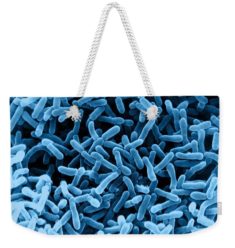 Sem Weekender Tote Bag featuring the photograph E. Coli Bacteria, Sem #9 by David M. Phillips