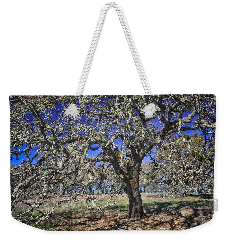 Jack London State Park Weekender Tote Bag featuring the photograph A Beautiful Mess by Laurie Search