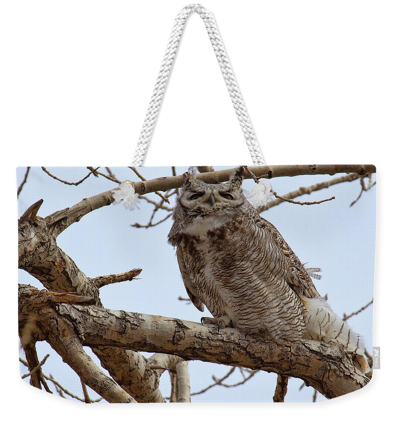 Horned Owl Weekender Tote Bag featuring the photograph A Blustery Day by Jim Garrison