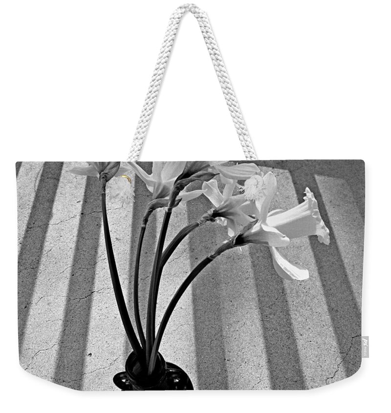 Narcissus Weekender Tote Bag featuring the photograph A Brief Moment by Chris Berry