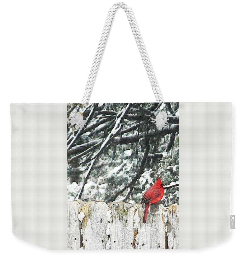 Christmas Weekender Tote Bag featuring the painting A Christmas Cardinal by PainterArtist FIN