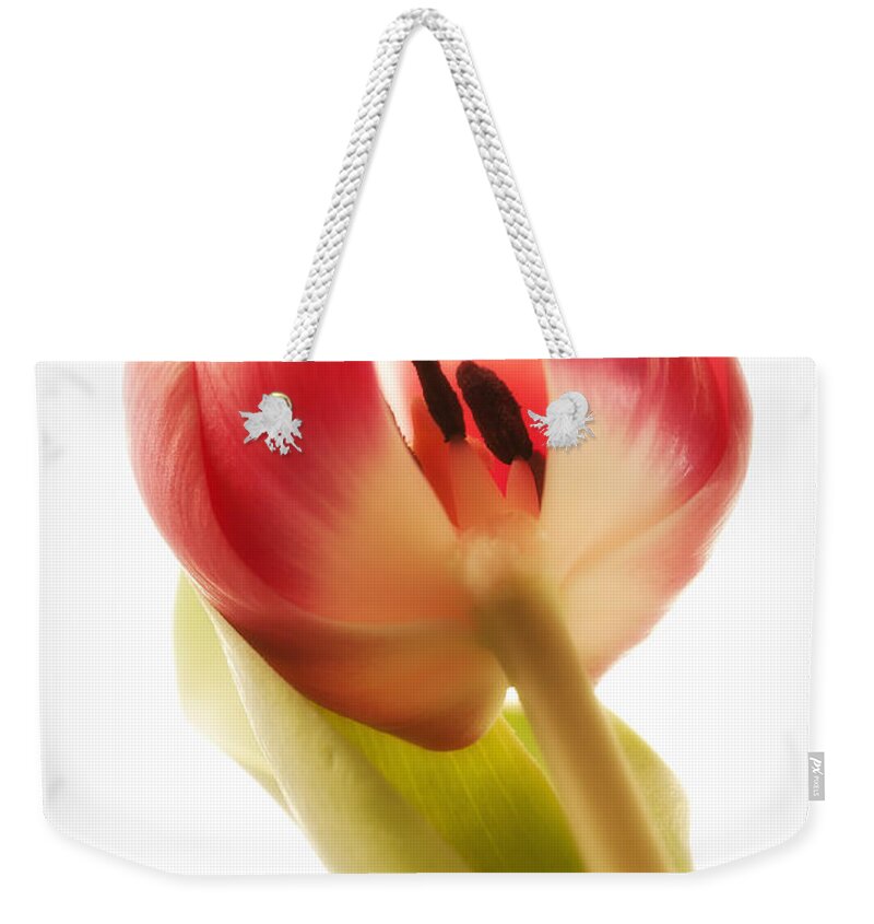 Blatt Weekender Tote Bag featuring the photograph A Close Look by Andreas Freund