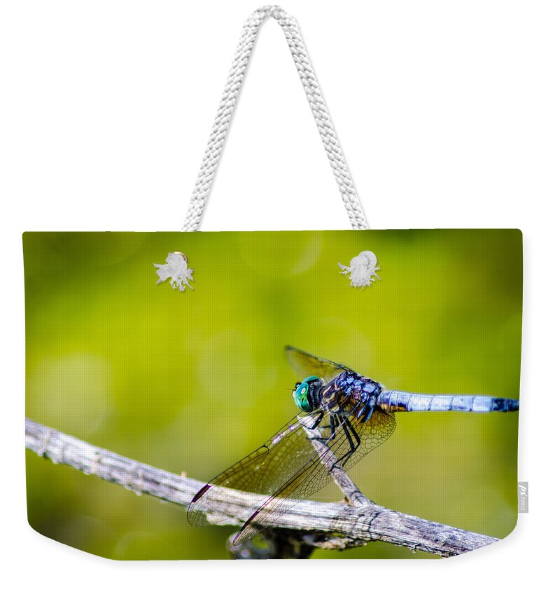 Macro Weekender Tote Bag featuring the photograph A Dragon's Perch by Wild Fotos