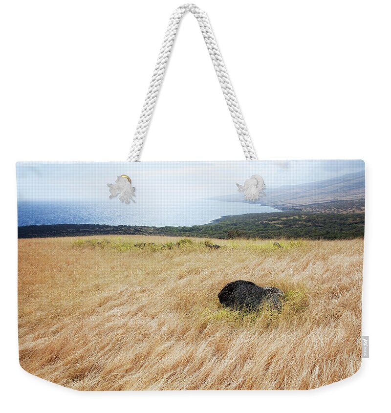 Grass Weekender Tote Bag featuring the photograph A Dramatic View Of Dry Grasses And by Jenna Szerlag / Design Pics