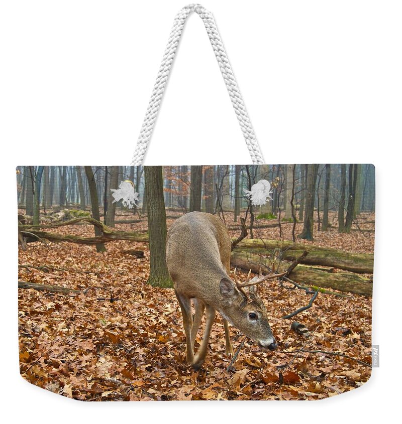 Animal Weekender Tote Bag featuring the photograph A Eight Point Buck 1261 by Michael Peychich