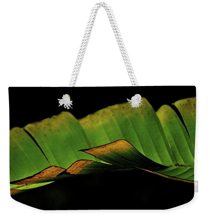 Green Weekender Tote Bag featuring the photograph A floating Heliconia Leaf by Lehua Pekelo-Stearns