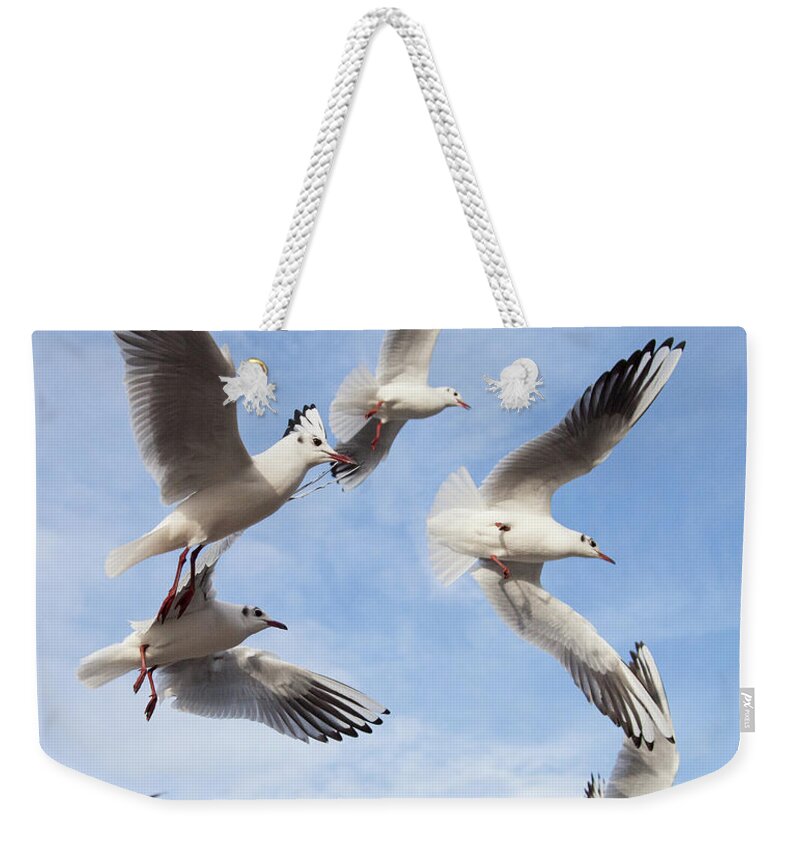 Animal Themes Weekender Tote Bag featuring the photograph A Flock Of Seagulls by Peter Chadwick Lrps