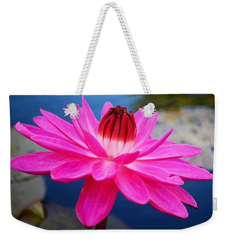Flower Weekender Tote Bag featuring the photograph A Flower and a Dream... by Melanie Moraga