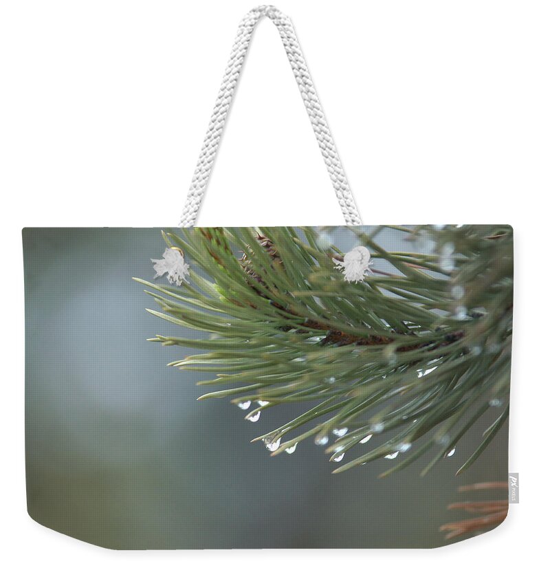 Water Drops Weekender Tote Bag featuring the photograph A Foggy Morning by Frank Madia