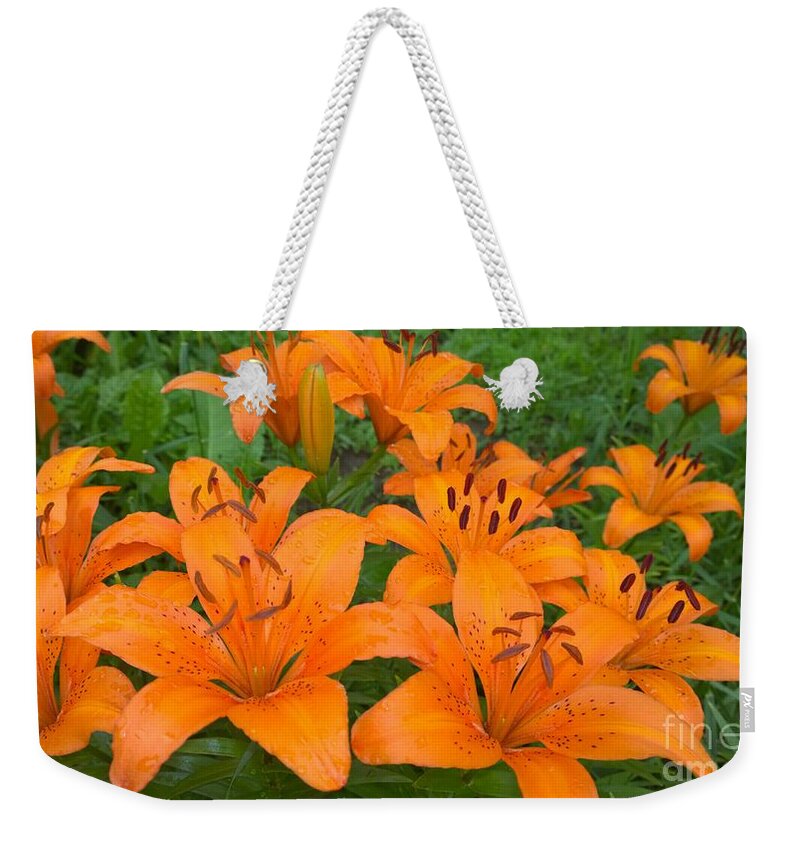 Lilys Weekender Tote Bag featuring the photograph A garden full of Lilies by Jennifer E Doll