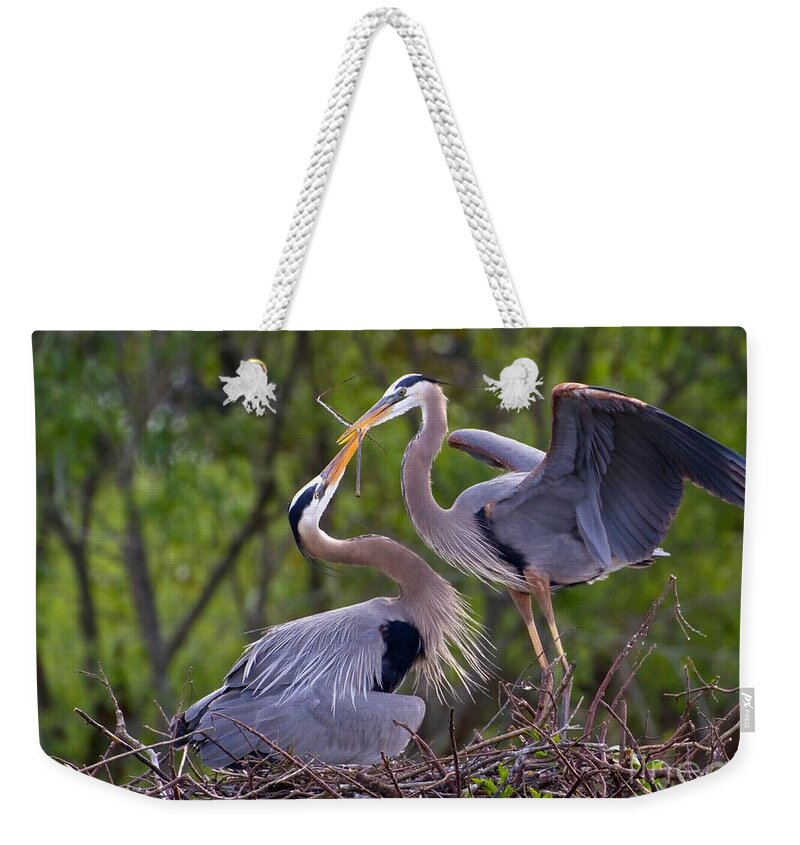 Bird Weekender Tote Bag featuring the photograph A Gift for the Nest by Sabrina L Ryan