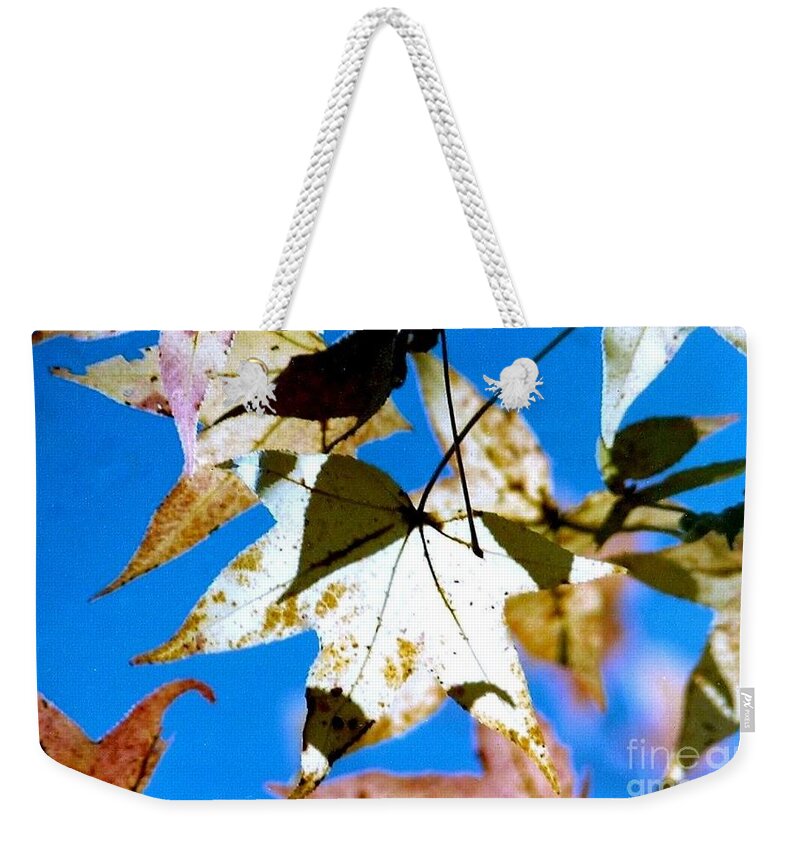 Nola Weekender Tote Bag featuring the photograph Autumn In New Orleans Louisiana by Michael Hoard
