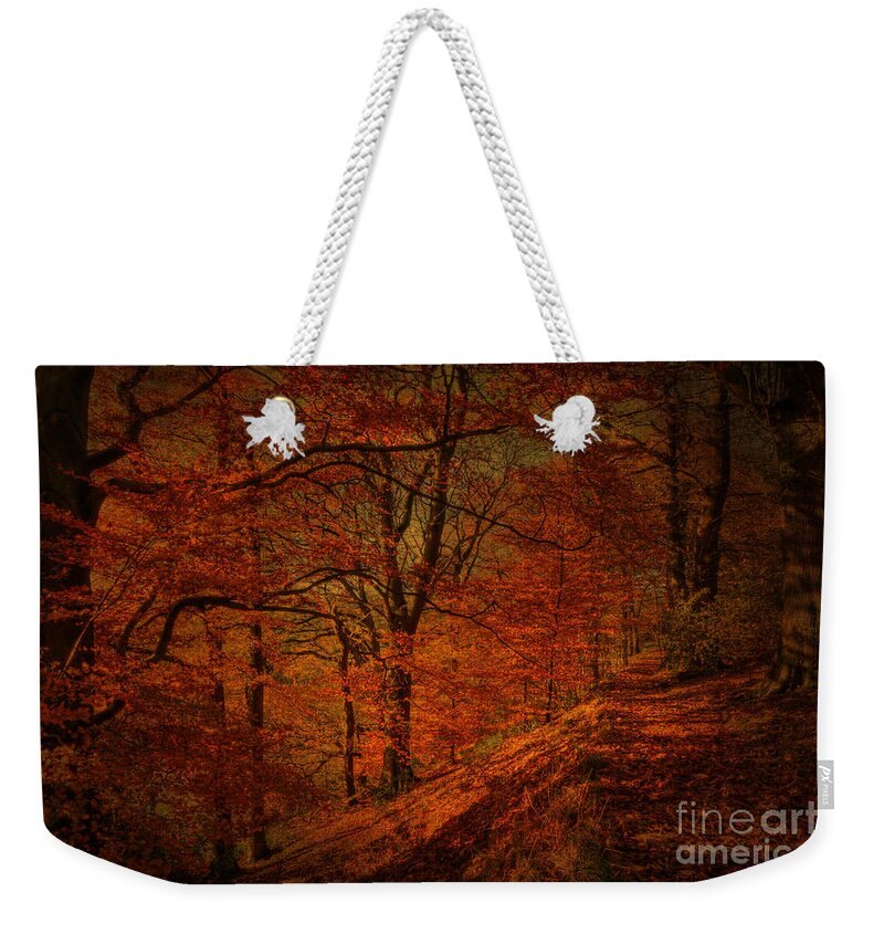 Woodland Weekender Tote Bag featuring the photograph A Golden day by David Birchall