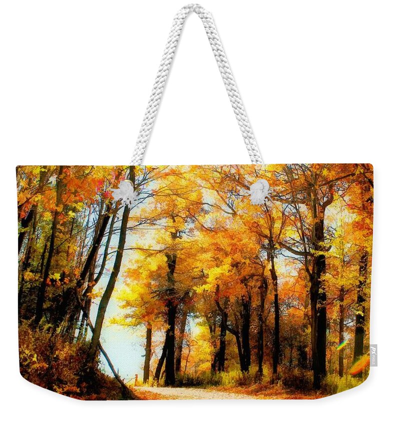 Autumn Leaves Weekender Tote Bag featuring the photograph A Golden Day by Lois Bryan
