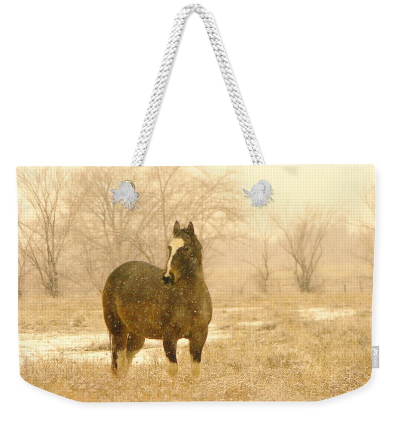 Horse Weekender Tote Bag featuring the photograph A Horse In The Snow by Jeff Swan