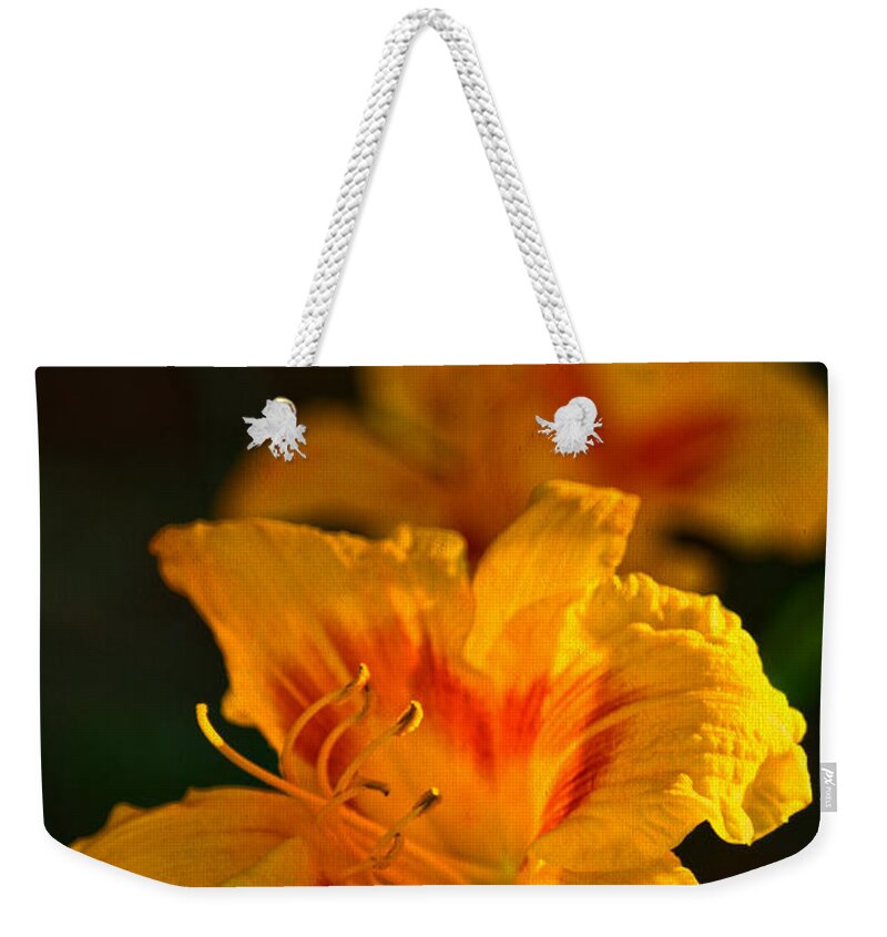 Day Lily Weekender Tote Bag featuring the photograph A Joyful Noise by Sandi OReilly