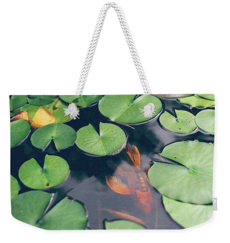 Pets Weekender Tote Bag featuring the photograph A Koi Fish Swimming Underneath Lily by Melissa Ross