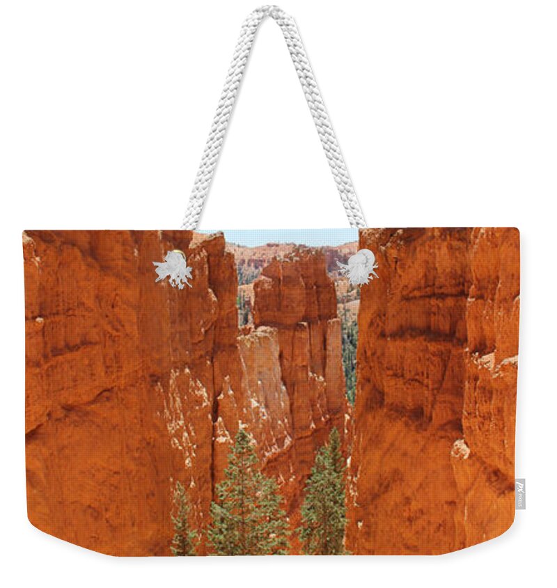 Southwest Weekender Tote Bag featuring the photograph A Long Way to the Top by Mike McGlothlen