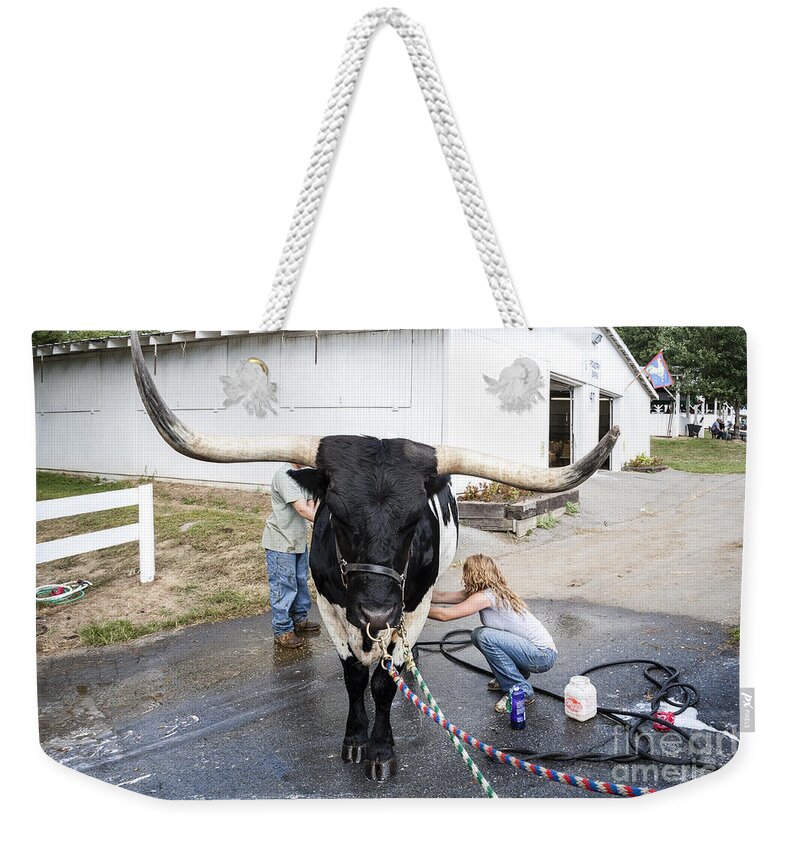County Fair Weekender Tote Bag featuring the photograph A longhorn steer is prepared for exhibition at a county fair by William Kuta
