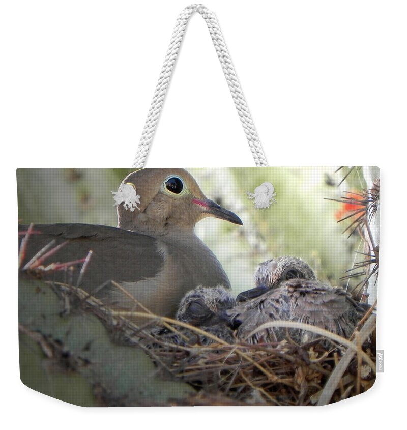 Mourning Dove Weekender Tote Bag featuring the photograph A Mothers' Love by Deb Halloran