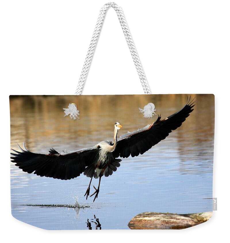 Great Blue Heron Weekender Tote Bag featuring the photograph A Perfect Landing by Shane Bechler