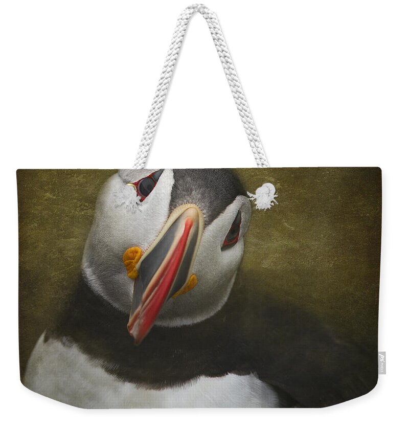 Festblues Weekender Tote Bag featuring the photograph A Portrait of the Clown of the Sea by Nina Stavlund