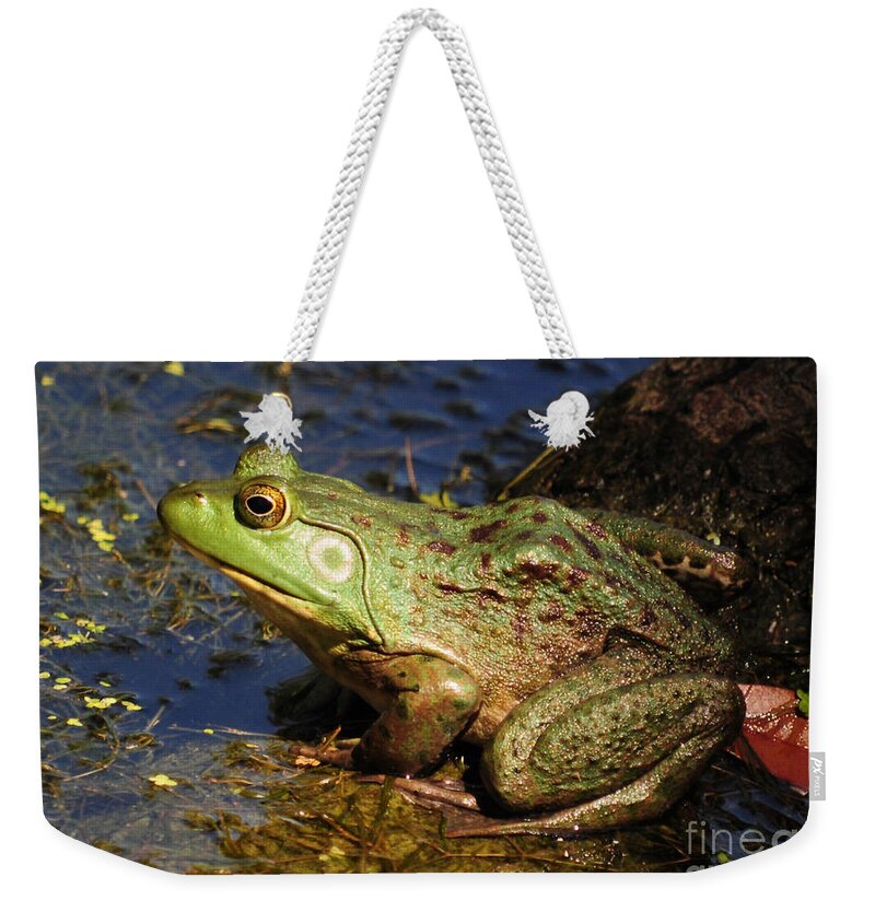 Frog Weekender Tote Bag featuring the photograph A Prince Of A Frog by Kathy Baccari