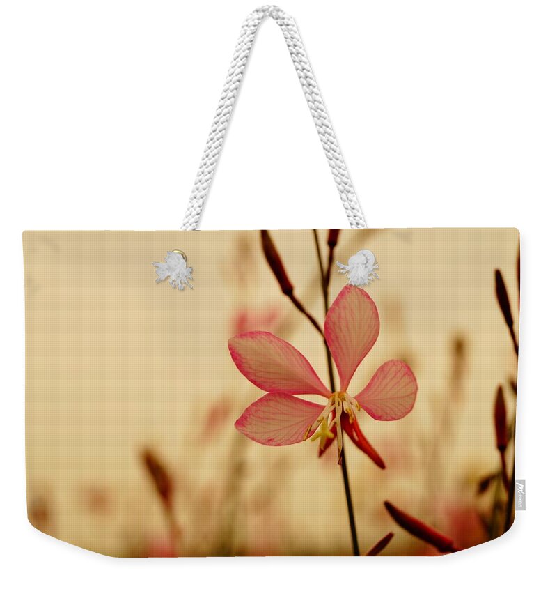  Weekender Tote Bag featuring the photograph A Proven Winner by Daniel Thompson