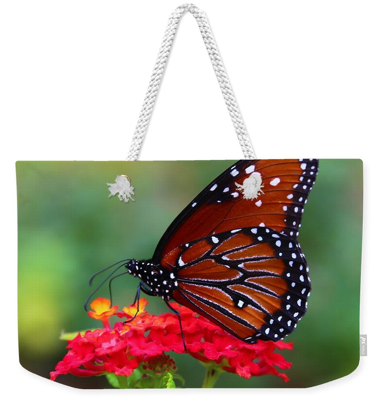 Queen Butterfly Weekender Tote Bag featuring the photograph A Queen by Marty Fancy