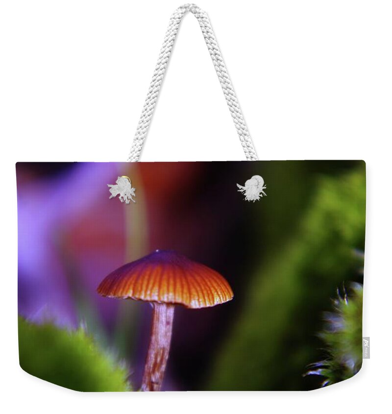 Mushrooms. Shrooms Weekender Tote Bag featuring the photograph A Red Mushroom by Jeff Swan