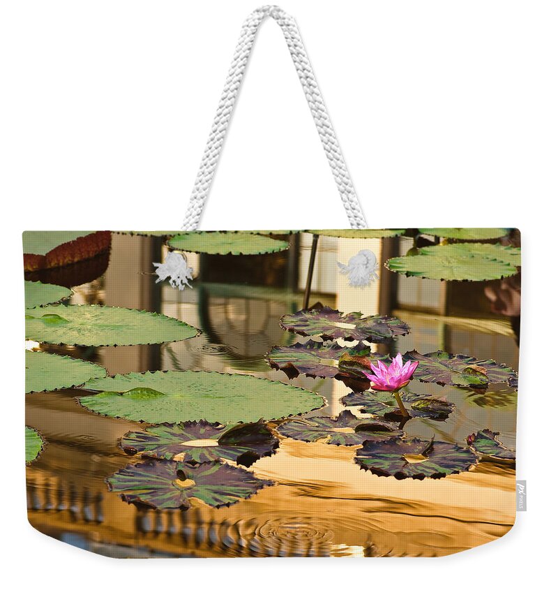 Longwood Gardens Weekender Tote Bag featuring the photograph A Reflection by Samantha Eisenhauer