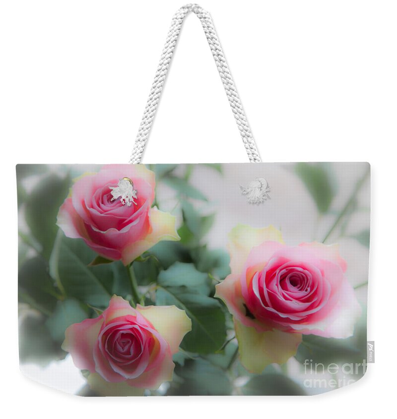 Three Roses Weekender Tote Bag featuring the photograph A rose and a rose and a rose by Casper Cammeraat