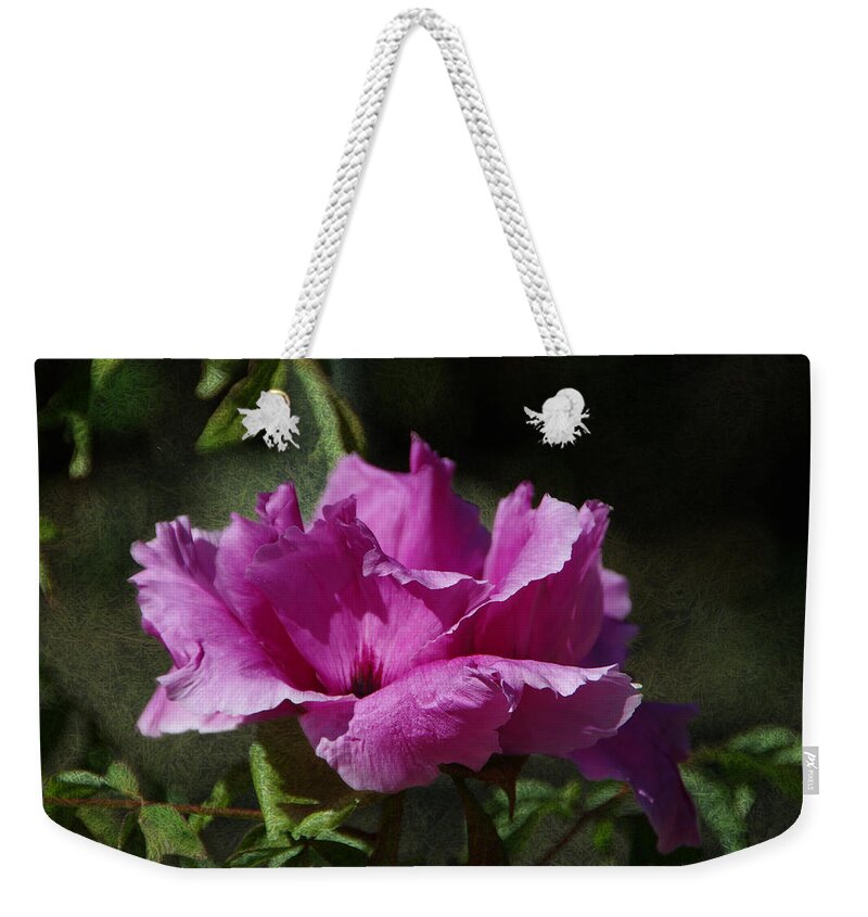 Rose Weekender Tote Bag featuring the photograph A Rose By Any Other Name by Marilyn Wilson