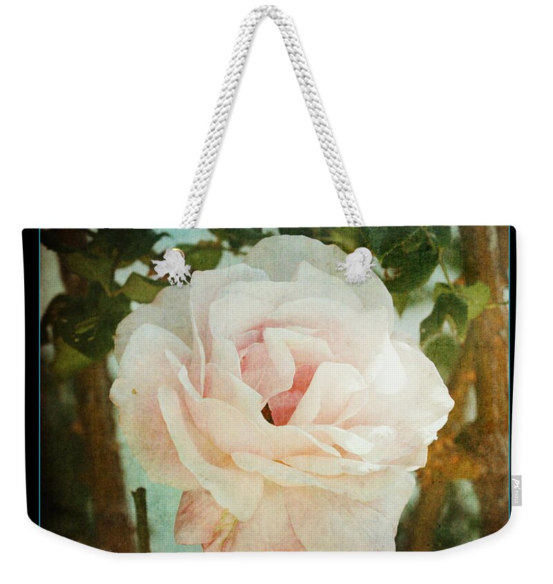 Flowers Weekender Tote Bag featuring the photograph A rose is a rose by Linda Olsen
