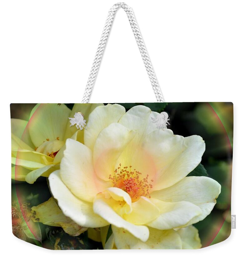 Rose Weekender Tote Bag featuring the digital art A Rose Is a Rose by Maria Urso