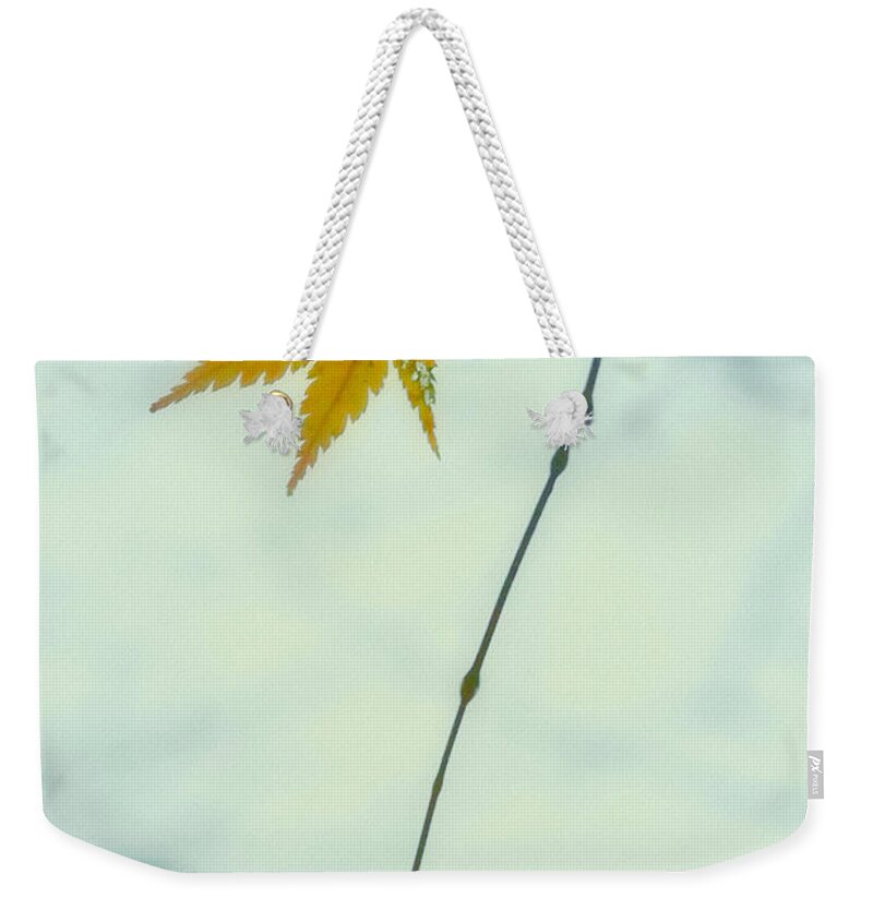 Fall Weekender Tote Bag featuring the photograph A Single Leaf by Jonathan Nguyen