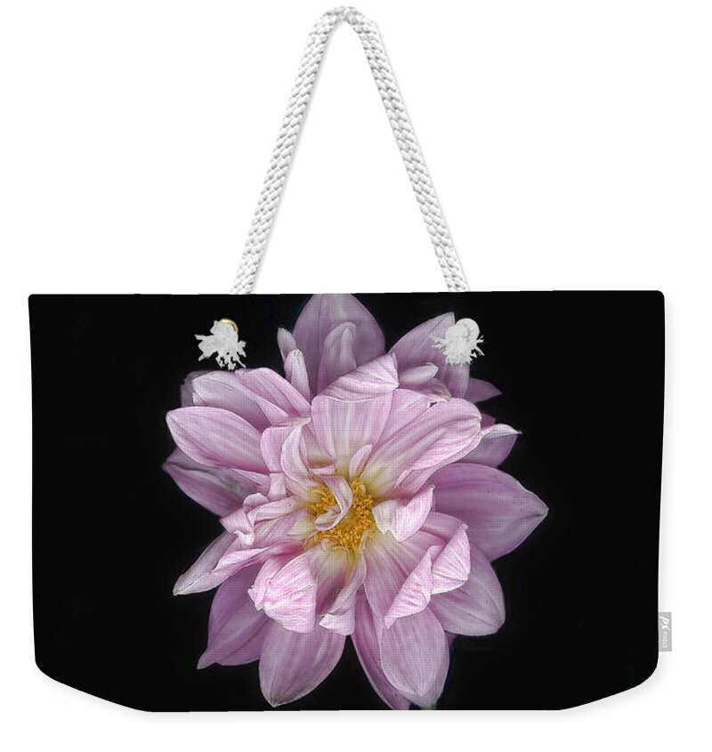 Dahlia Weekender Tote Bag featuring the photograph A Single Pink Dahlia by Louise Kumpf