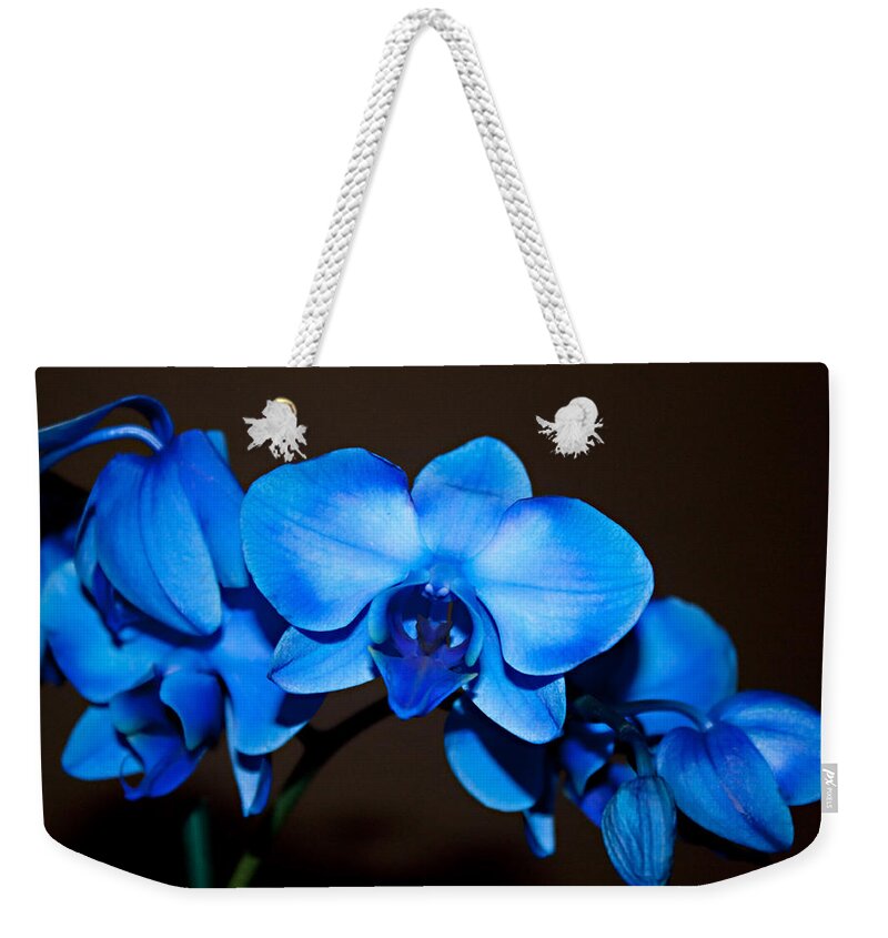 Orchids Weekender Tote Bag featuring the photograph A Stem of Beautiful Blue Orchids by Sherry Hallemeier