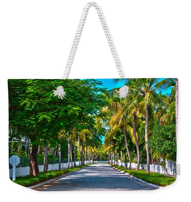 Florida Weekender Tote Bag featuring the photograph A Street of Palms by Brenda Jacobs