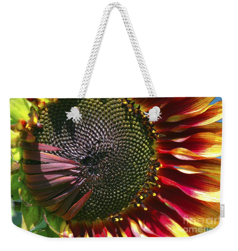 Sunflower Weekender Tote Bag featuring the photograph A Sunflower For the Birds by Sharon Talson