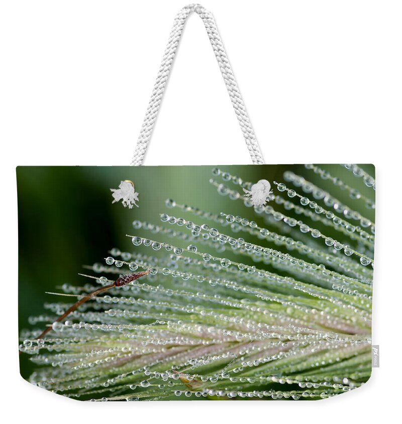 Floral Weekender Tote Bag featuring the photograph A Thousand Diamonds - Tiny Iced Water Drops Hang Of A Pine Leave by Pedro Cardona Llambias