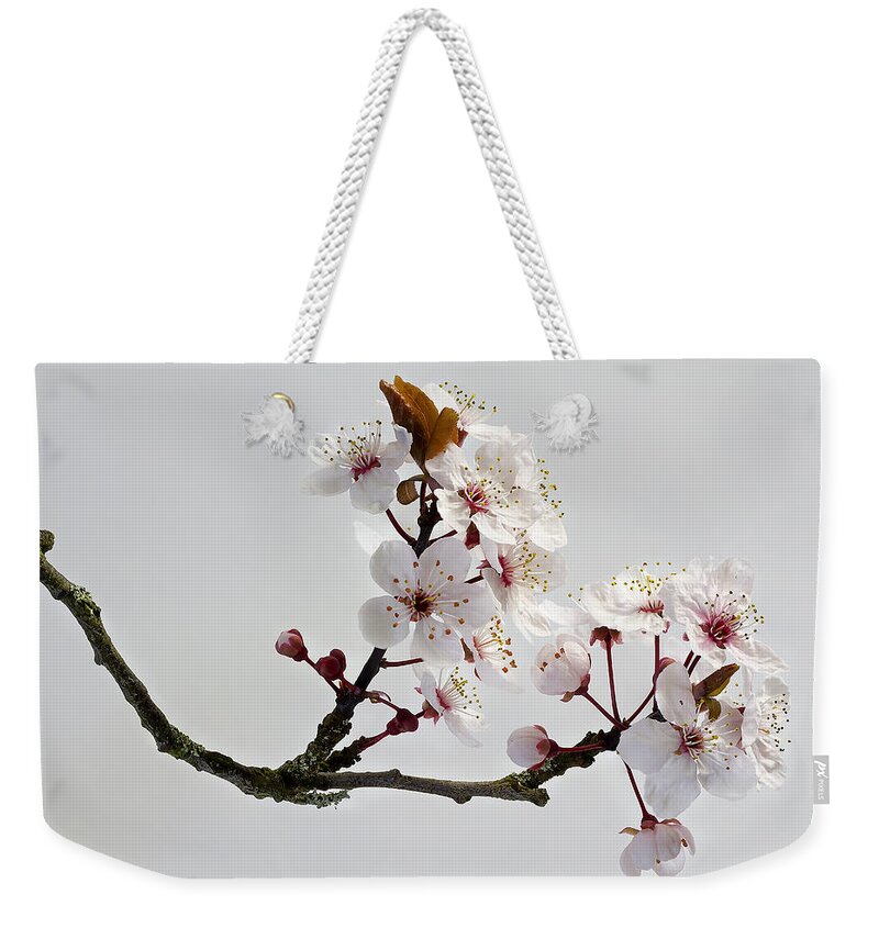 Nature Weekender Tote Bag featuring the photograph A Touch of Spring ll by Shirley Mitchell