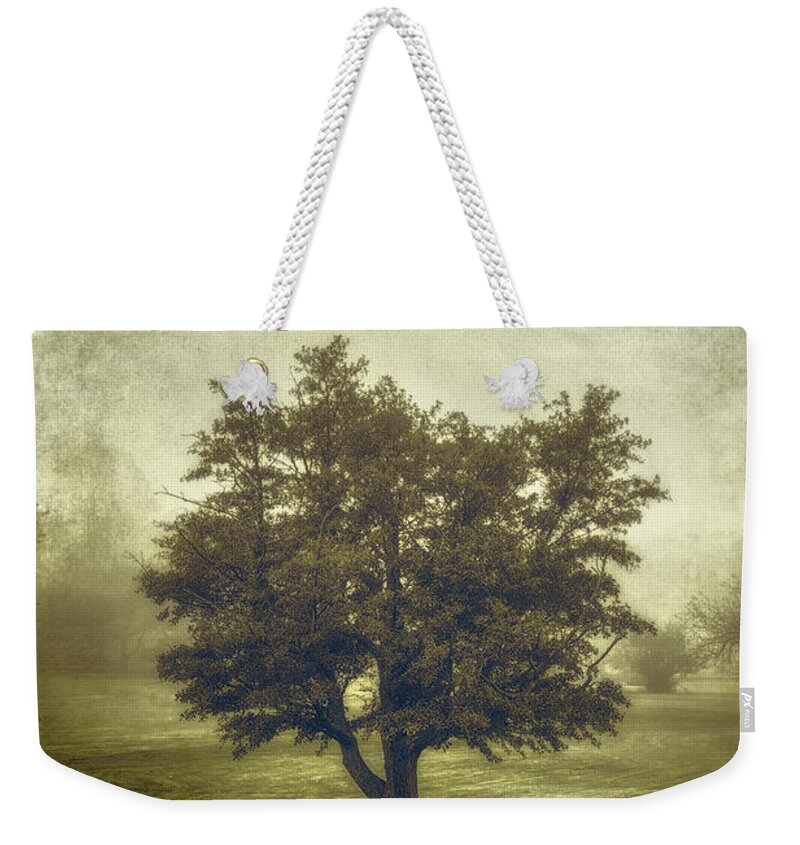 Tree Weekender Tote Bag featuring the photograph A Tree in the Fog 2 by Scott Norris
