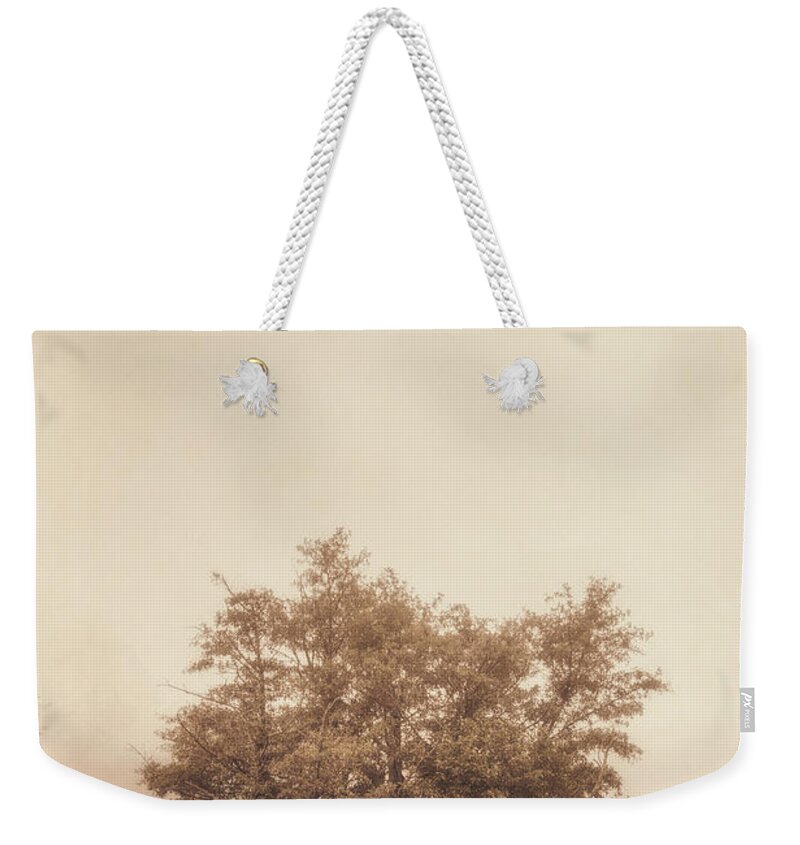 Tree Weekender Tote Bag featuring the photograph A Tree in the Fog by Scott Norris