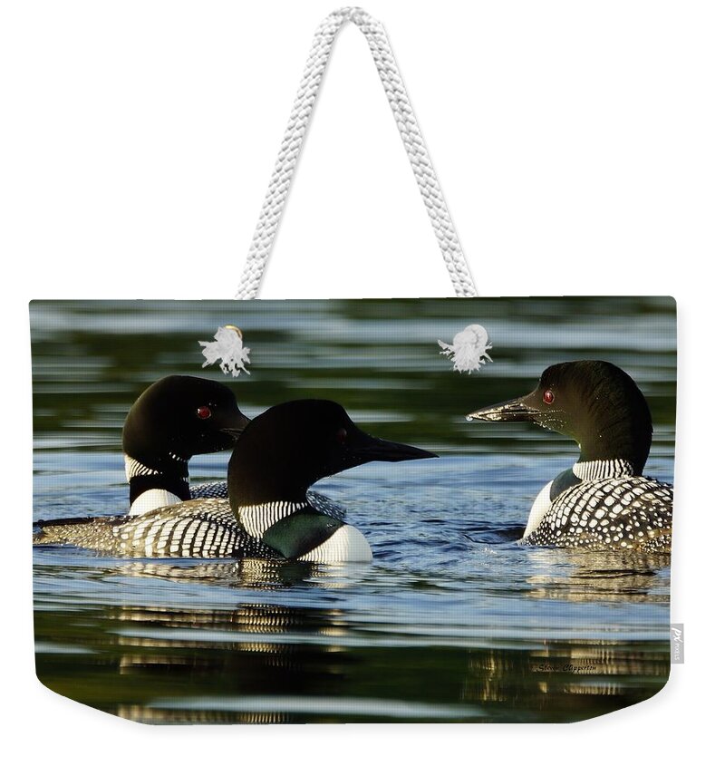 Loons Weekender Tote Bag featuring the photograph A Trio of Loons by Steven Clipperton
