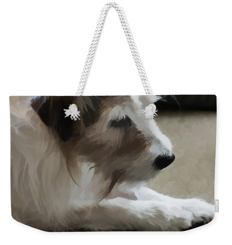 Dog Weekender Tote Bag featuring the photograph A True Friend by Ron Harpham