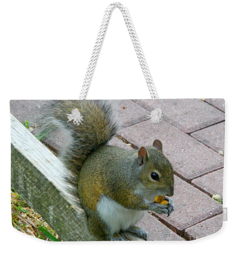 Squirrel Weekender Tote Bag featuring the photograph A Two-Nut Lunch by Mariarosa Rockefeller