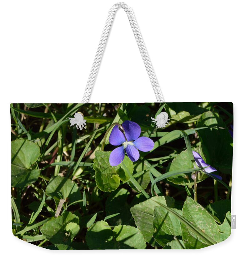 Indiana Weekender Tote Bag featuring the photograph A Violet by Alys Caviness-Gober