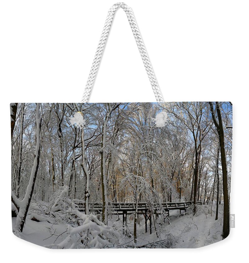 Salani Weekender Tote Bag featuring the photograph A Winter Scene by Raymond Salani III